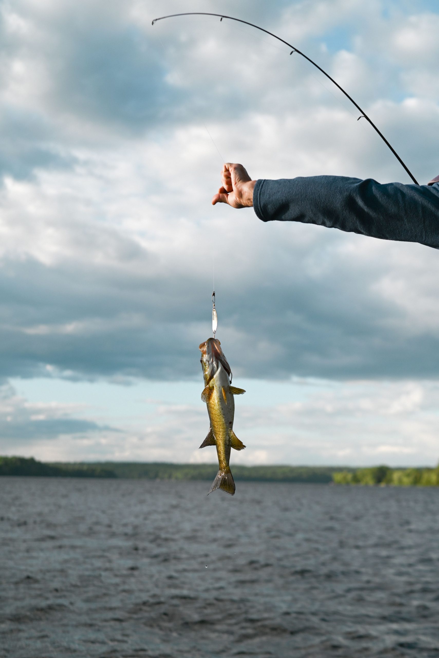 Poisson sur un hameçon pêche dans une rivière dans les Monts-Valin