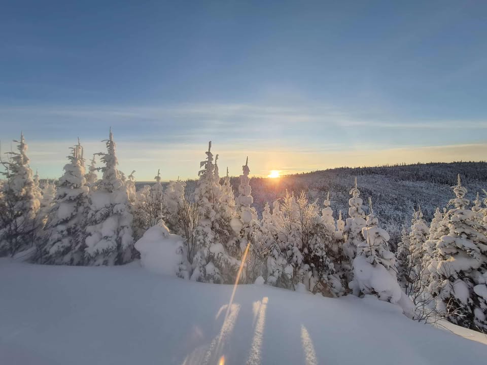 Soleil qui se lève dans la foret enneigée du Relais Onatchiway